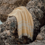 Frottéhandduk Tolo Hamam 