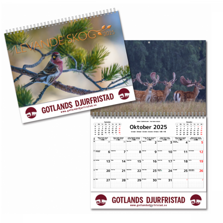 Kalender - Levande skog 